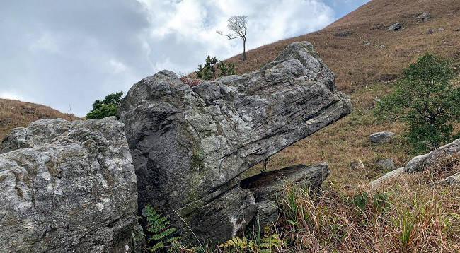 Открываем для себя красоту горы Тя ảnh 7