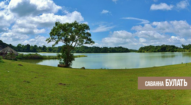 Куда поехать в провинции Биньфыок ảnh 4 Куда поехать в провинции Биньфыок ảnh 4