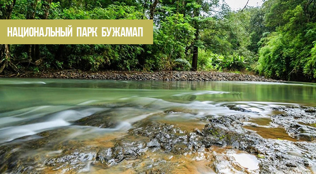 Куда поехать в провинции Биньфыок ảnh 5 Куда поехать в провинции Биньфыок ảnh 5