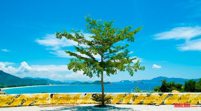 Наслаждаемся одной из самых красивых дорог вдоль морского побережья Вьетнама ảnh 5