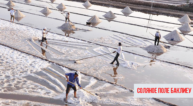 7 интересных мест, достойных посещения при путешествии в провинцию Баклиеу ảnh 7