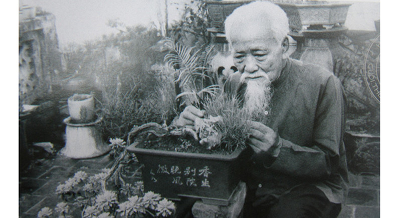 Как отмечали Тэт ханойцы в начале 20 века ảnh 8 Как отмечали Тэт ханойцы в начале 20 века ảnh 8