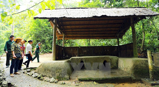 Посещение исторического памятника Мыонгфанг среди девственного леса ảnh 2 Посещение исторического памятника Мыонгфанг среди девственного леса ảnh 2