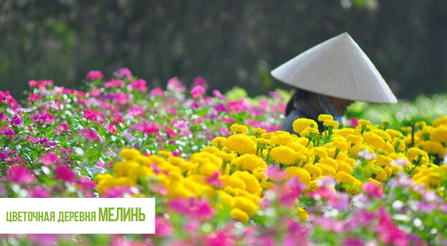 Куда поехать в провинции Виньфук ảnh 5 Куда поехать в провинции Виньфук ảnh 5