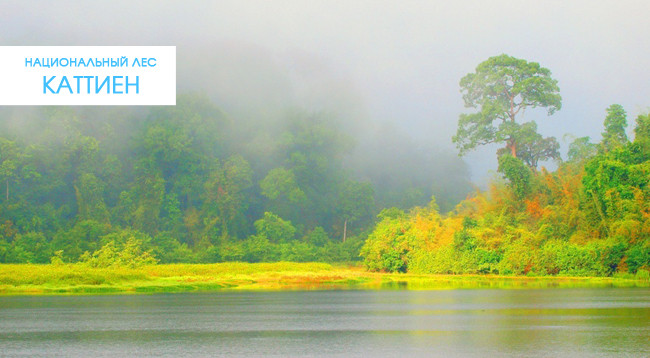 Приезжая в провинцию Донгнай, не пропустите такие известные места ảnh 2