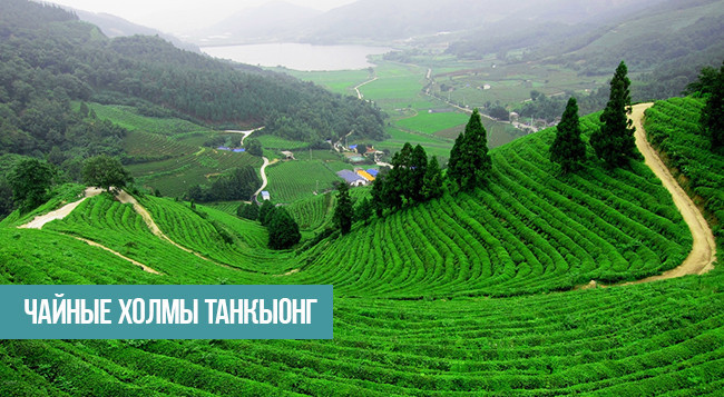 Куда поехать в провинции Тхайнгуен ảnh 6