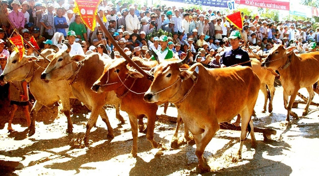 Своеобразие культуры народности Кхмер ảnh 1 Своеобразие культуры народности Кхмер ảnh 1