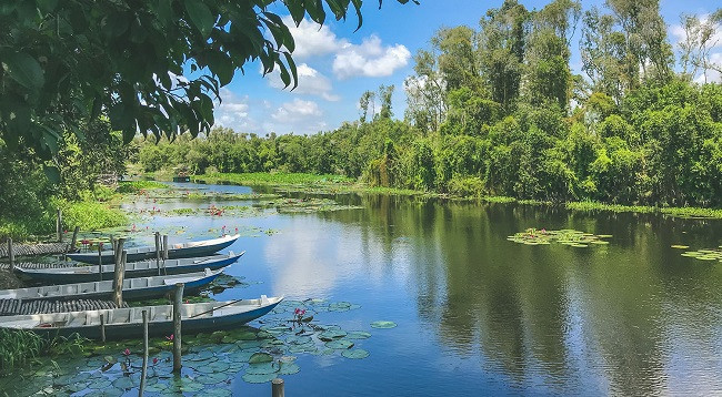 Каяпутовый лес Танлап ảnh 1 Каяпутовый лес Танлап ảnh 1