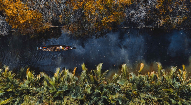 Открываем для себя Рутя – мангровый лес Тхыатхиен-Хюэ ảnh 1 Открываем для себя Рутя – мангровый лес Тхыатхиен-Хюэ ảnh 1
