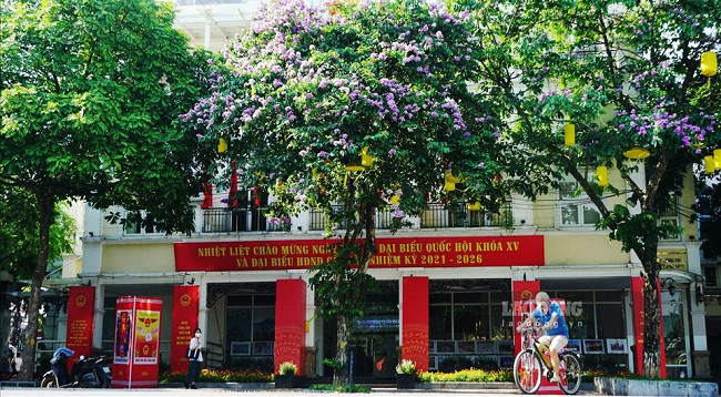 Улицы Ханоя украшены флагами и цветами в честь дня выборов ảnh 4 Улицы Ханоя украшены флагами и цветами в честь дня выборов ảnh 4