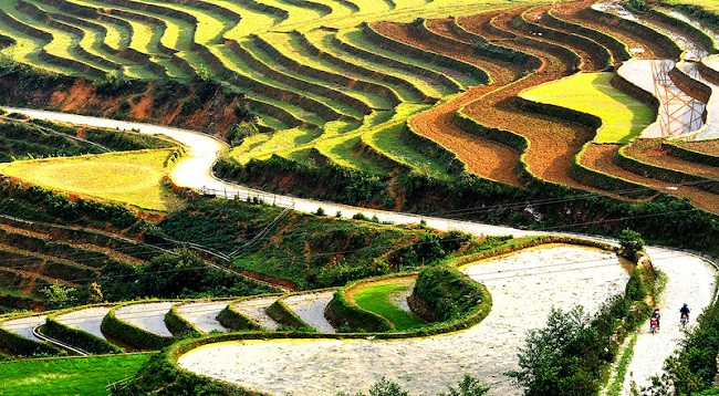 Полюбуемся террасными рисовыми полями в Шапе в сезон заливных полей ảnh 8 Полюбуемся террасными рисовыми полями в Шапе в сезон заливных полей ảnh 8