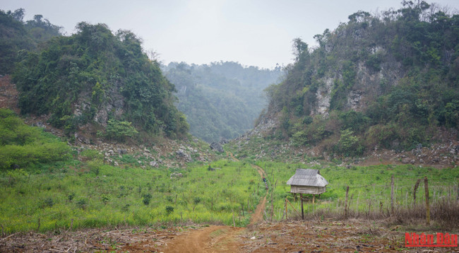 Красота плоскогорья Моктяу ảnh 12 Красота плоскогорья Моктяу ảnh 12
