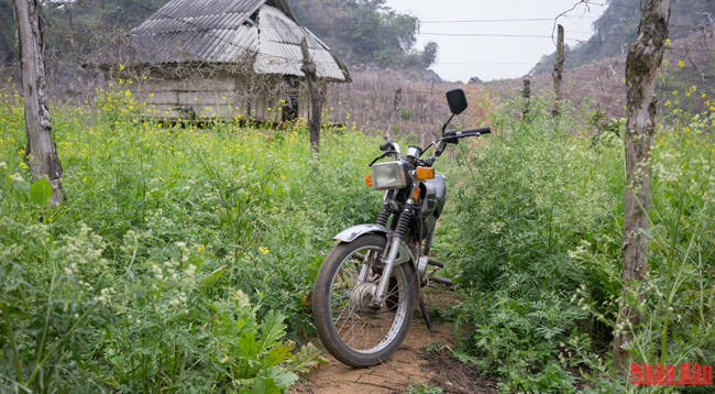 Красота плоскогорья Моктяу ảnh 2 Красота плоскогорья Моктяу ảnh 2