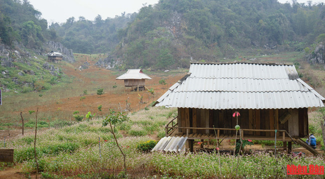 Красота плоскогорья Моктяу ảnh 4 Красота плоскогорья Моктяу ảnh 4