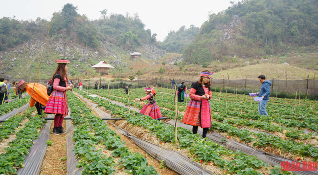 Красота плоскогорья Моктяу ảnh 6 Красота плоскогорья Моктяу ảnh 6