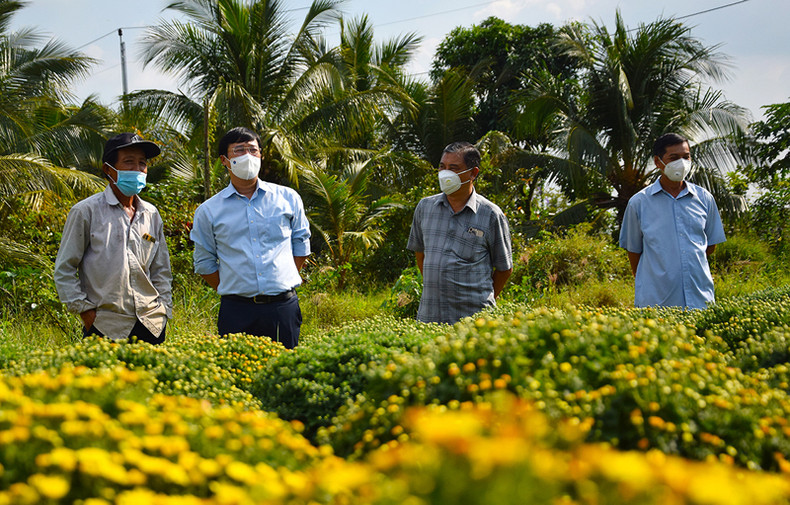 Цветочная деревня Шадек в преддверии Тэта ảnh 2 Цветочная деревня Шадек в преддверии Тэта ảnh 2