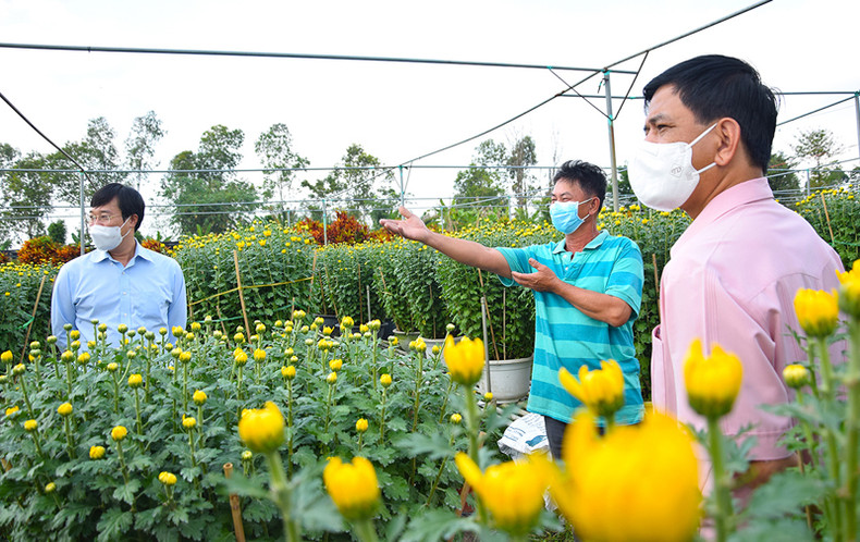 Цветочная деревня Шадек в преддверии Тэта ảnh 6 Цветочная деревня Шадек в преддверии Тэта ảnh 6