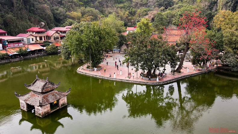 Пагода Тхэй в сезон цветения деревьев бомбакс сейба ảnh 4 Пагода Тхэй в сезон цветения деревьев бомбакс сейба ảnh 4