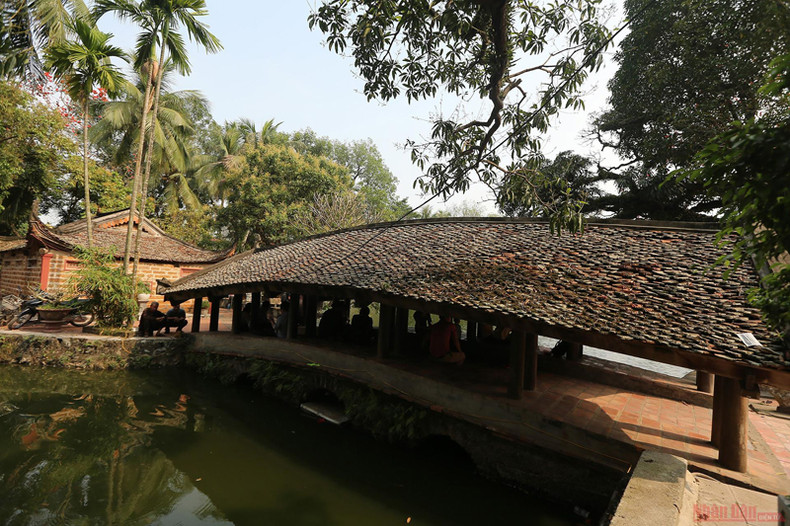Пагода Тхэй в сезон цветения деревьев бомбакс сейба ảnh 8 Пагода Тхэй в сезон цветения деревьев бомбакс сейба ảnh 8