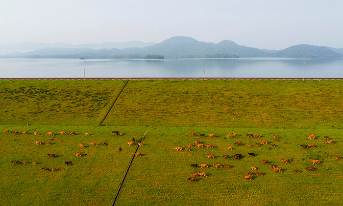 Озеро Кего – очаровательный зеленый оазис в провинции Хатинь ảnh 9 Озеро Кего – очаровательный зеленый оазис в провинции Хатинь ảnh 9