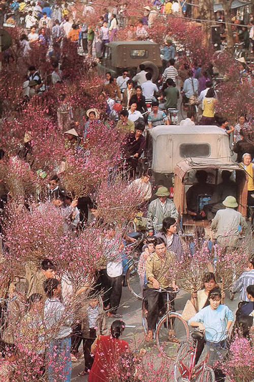 Как ханойцы готовились к Тэту в период карточно-распределительной системы ảnh 3