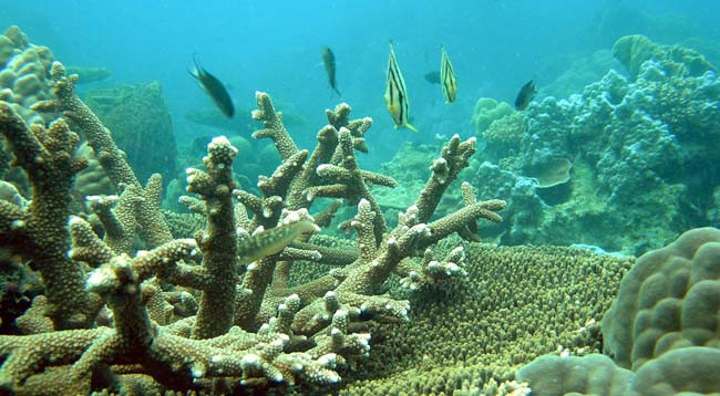 Нетронутая красота Антхой ảnh 1