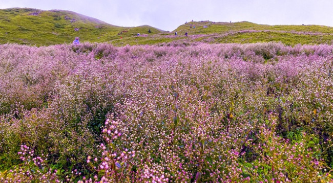 Открываем для себя величественную красоту Татьиньу ảnh 7