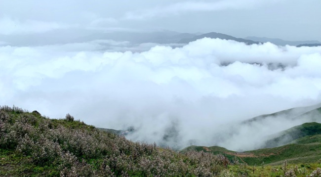Открываем для себя величественную красоту Татьиньу ảnh 6