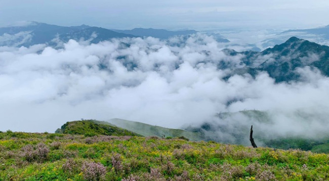 Открываем для себя величественную красоту Татьиньу ảnh 1