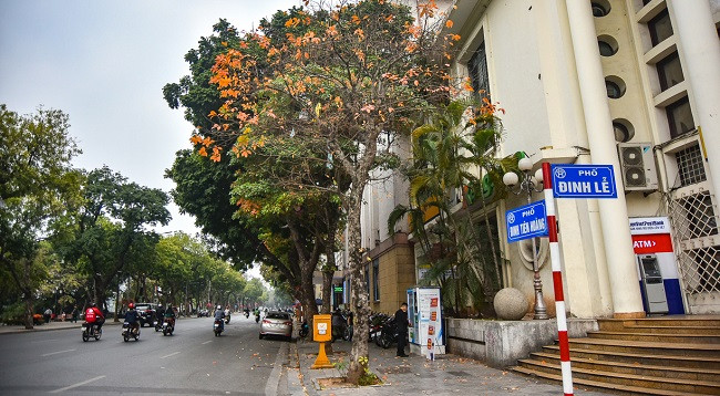 Ханой выглядит красиво во время листопада красной баррингтонии ảnh 8 Ханой выглядит красиво во время листопада красной баррингтонии ảnh 8