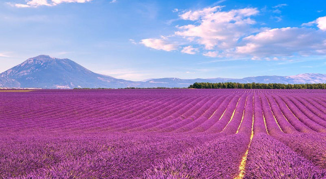 Геопарк Нонныок в провинции Каобанг вошел в список 50 самых привлекательных достопримечательностей мира ảnh 7 Геопарк Нонныок в провинции Каобанг вошел в список 50 самых привлекательных достопримечательностей мира ảnh 7