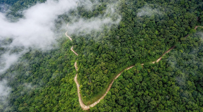 10 национальных парков во Вьетнаме, которые следует посетить ảnh 5 10 национальных парков во Вьетнаме, которые следует посетить ảnh 5