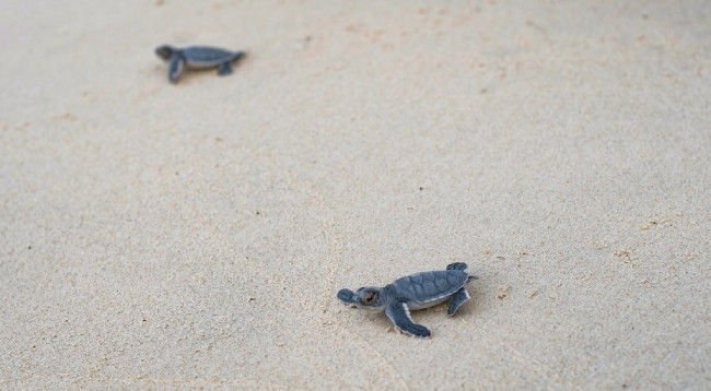 10 национальных парков во Вьетнаме, которые следует посетить ảnh 9 10 национальных парков во Вьетнаме, которые следует посетить ảnh 9