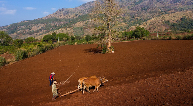Красота смены времен года на вулкане Тьыдангя ảnh 6 Красота смены времен года на вулкане Тьыдангя ảnh 6