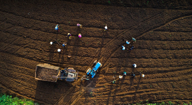 Красота смены времен года на вулкане Тьыдангя ảnh 5 Красота смены времен года на вулкане Тьыдангя ảnh 5