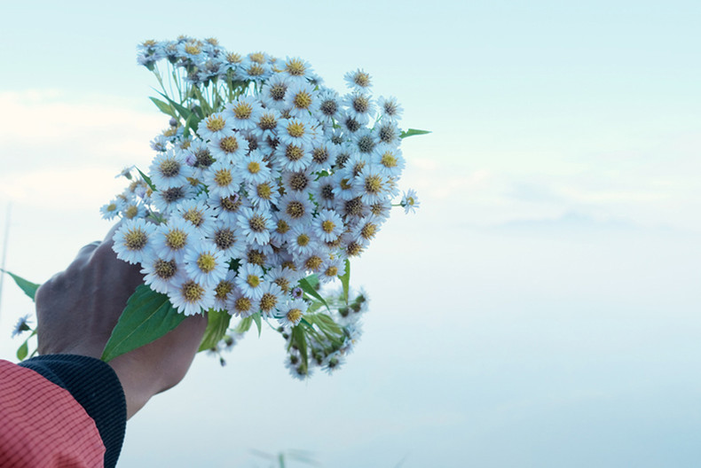 Покоряя крышу пограничной общины Ити, «гоняться за облаками» на вершине Лаотхан ảnh 7