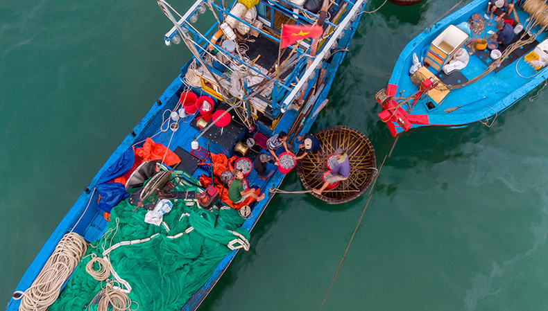 Самый оживленный рыбный рынок в Куангнаме ảnh 2 Самый оживленный рыбный рынок в Куангнаме ảnh 2