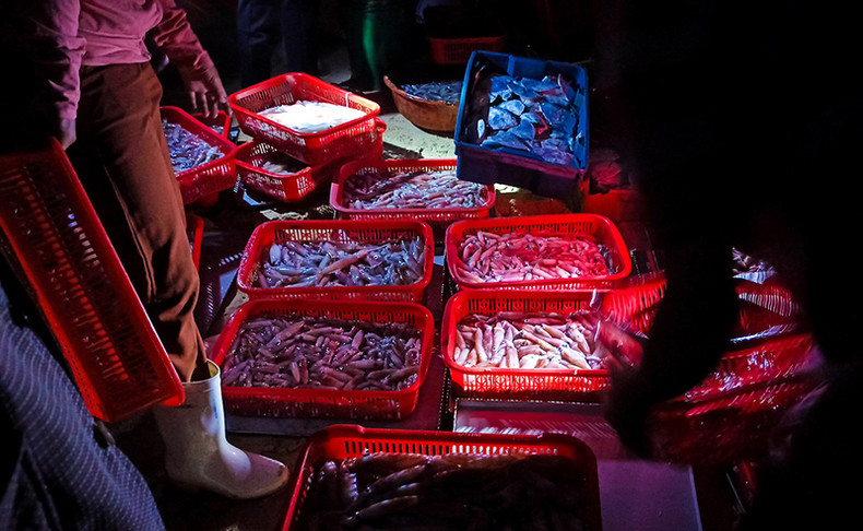 Самый оживленный рыбный рынок в Куангнаме ảnh 3 Самый оживленный рыбный рынок в Куангнаме ảnh 3