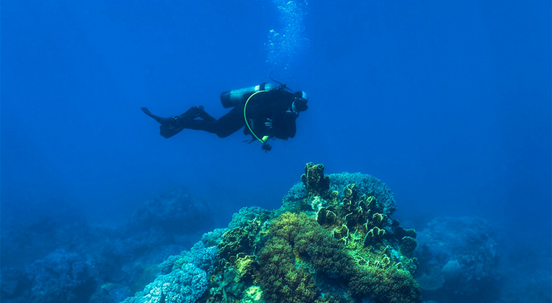 Открываем для себя морское дно в Хонмуне ảnh 1 Открываем для себя морское дно в Хонмуне ảnh 1