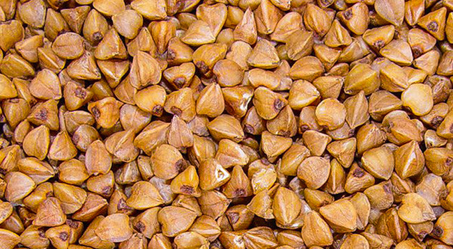 Цветы гречихи расцветают на каменном плоскогорье ảnh 9 Цветы гречихи расцветают на каменном плоскогорье ảnh 9