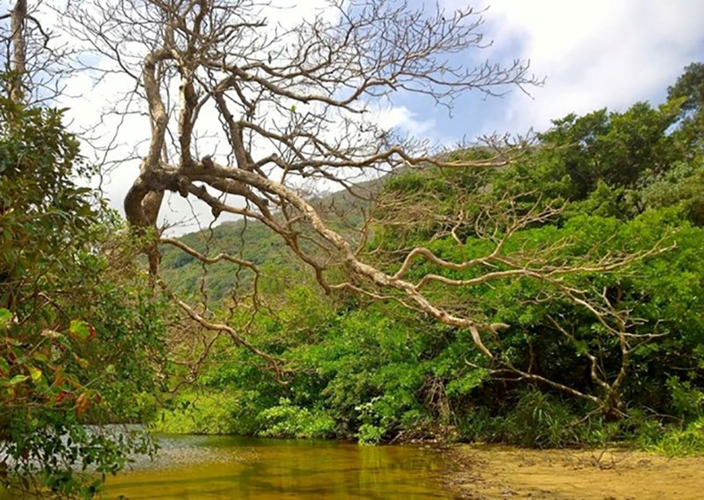 Спокойный Кондао ảnh 7