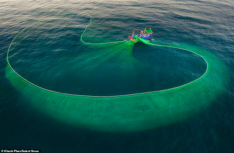 Завораживающие фотографии о ловле анчоусов в провинции Фуйен опубликованы в британской газете ảnh 2 Завораживающие фотографии о ловле анчоусов в провинции Фуйен опубликованы в британской газете ảnh 2