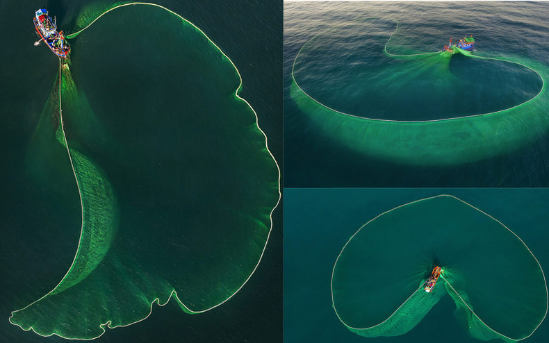 Завораживающие фотографии о ловле анчоусов в провинции Фуйен опубликованы в британской газете ảnh 6 Завораживающие фотографии о ловле анчоусов в провинции Фуйен опубликованы в британской газете ảnh 6