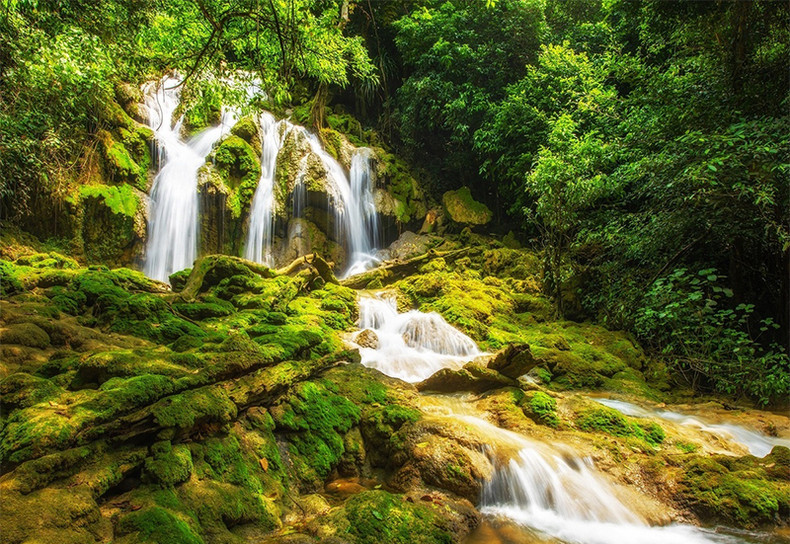 Степь Донглам в провинции Лангшон ảnh 8 Степь Донглам в провинции Лангшон ảnh 8