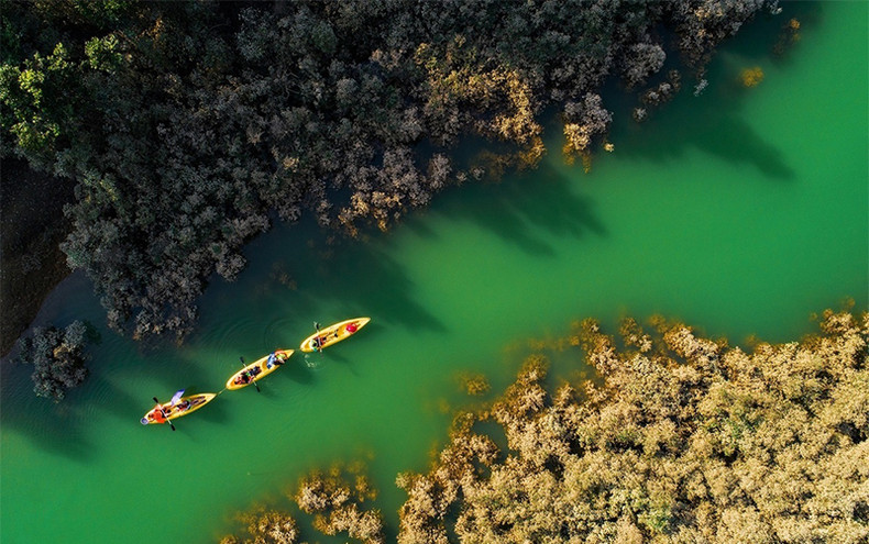Степь Донглам в провинции Лангшон ảnh 5 Степь Донглам в провинции Лангшон ảnh 5