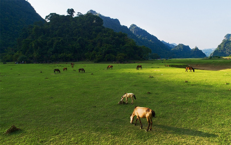Степь Донглам в провинции Лангшон ảnh 3 Степь Донглам в провинции Лангшон ảnh 3