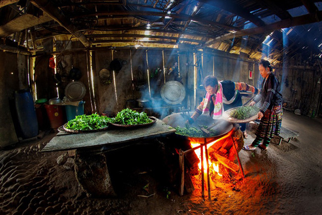 Человек, который делает чай, взятый из вековых чайных деревьев Шантует ảnh 2