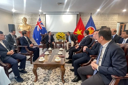 Делегация Вьетнама провела рабочую встречу в Посольстве Вьетнама в Австралии по вопросам сотрудничества в сфере науки, технологий и работы с сообществом.