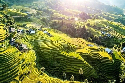 Шапа известна своими живописными террасными рисовыми полями и этническими деревнями с ярко выраженными культурными традициями. (Фото: Unsplash – Denis Sobnako)