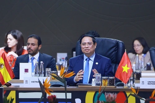 Премьер-министр Фам Минь Тьинь выступает на саммите. (Фото: VGP)